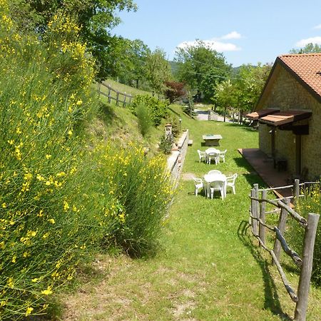 Frassineta Agriturismo La Mottaヴィラ エクステリア 写真